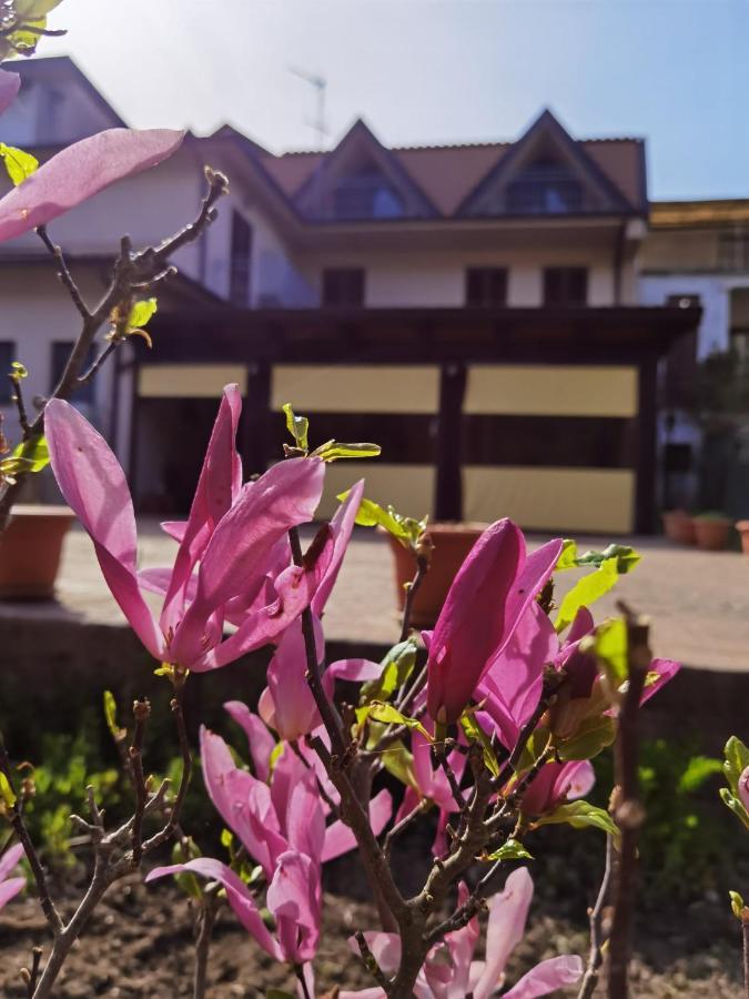 Hotel Edelweiss Laino Borgo المظهر الخارجي الصورة